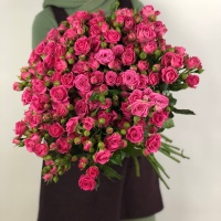 Роза кустовая розовая 60см